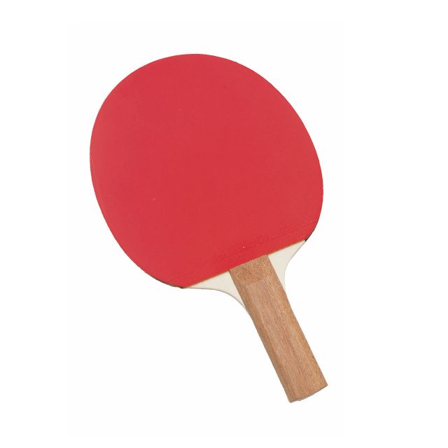 Table Tennis Bats - Reversed Sponge